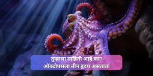 why-octopus-has-three-hearts-in-marathi